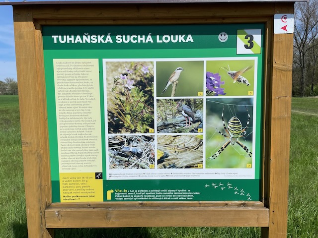 Activity from OKFF-2068 – Tuhaňská suchá louka